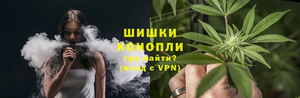 spice Алзамай