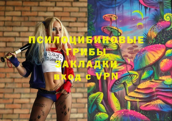 spice Алзамай