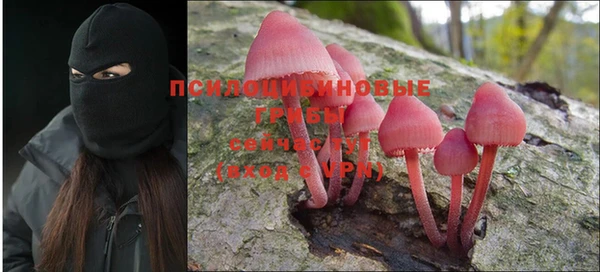 a pvp Абинск