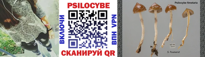 Галлюциногенные грибы GOLDEN TEACHER  Шимановск 